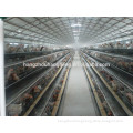 Modern steel structure chicken/poultry hangar/warehouse